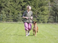 hundeplatz-16