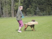 hundeplatz-18