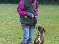 hundeplatz_4